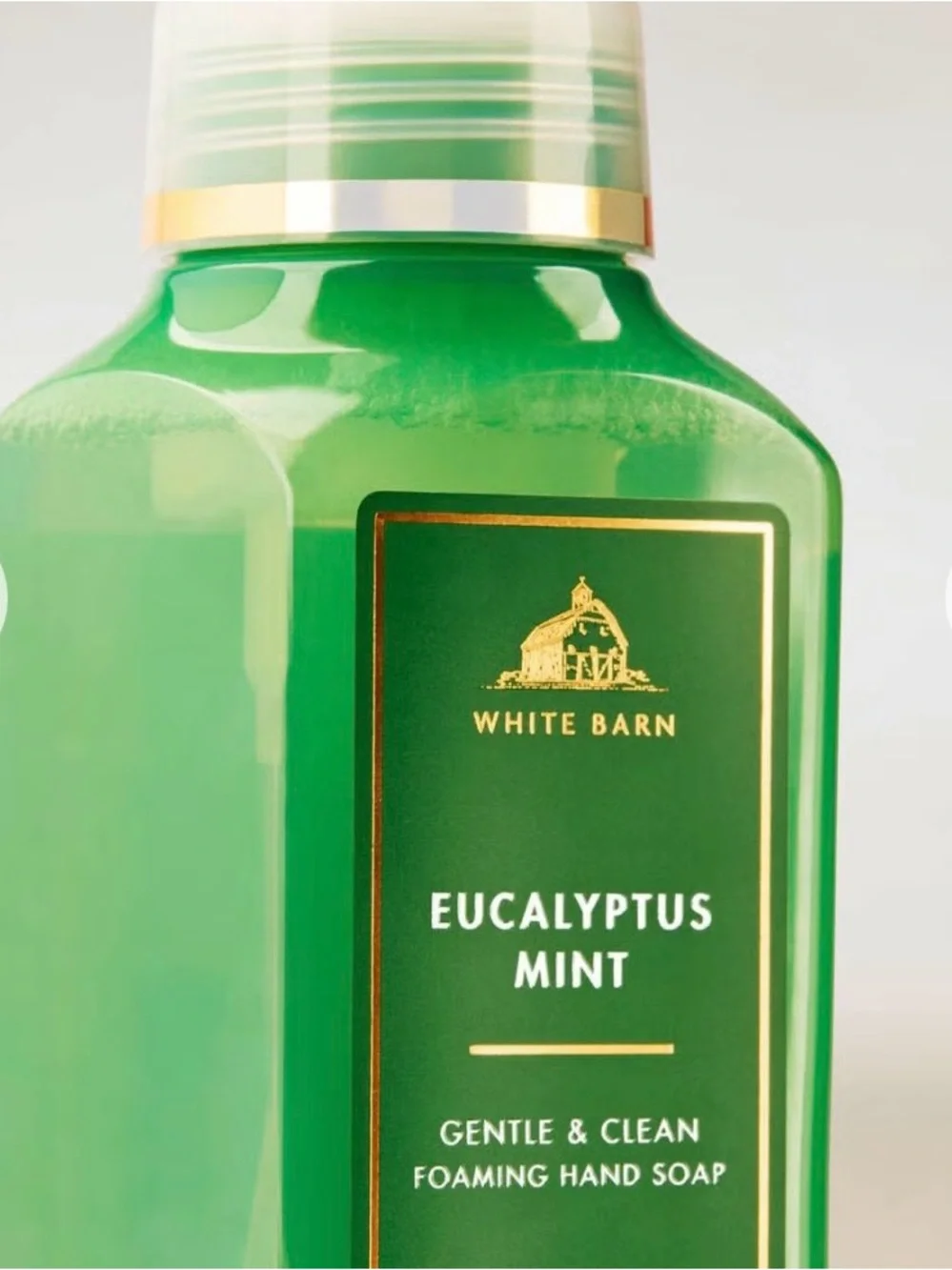 White Barn Eucalyptus Mint Gentle & Clean Foaming Hand Soap - 8.75 oz